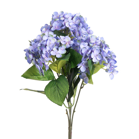Hydrangea Bush Lavender x5