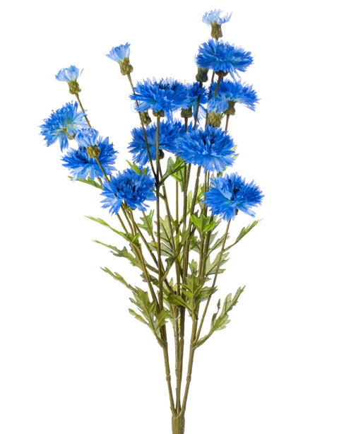 23” Cornflower x4 Blue
