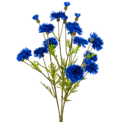 23” Cornflower x4 Dark Blue