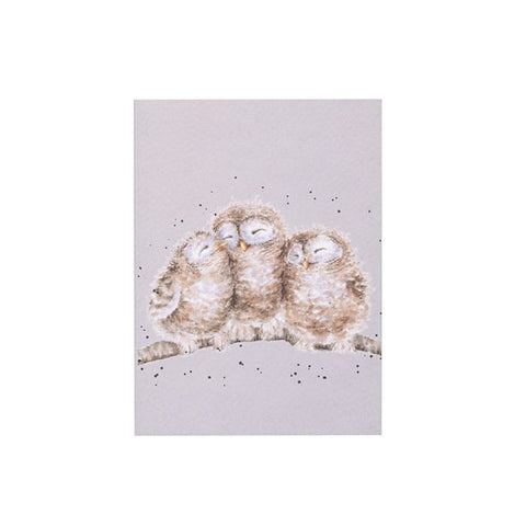 'Owlets' Owl Small Notebook
